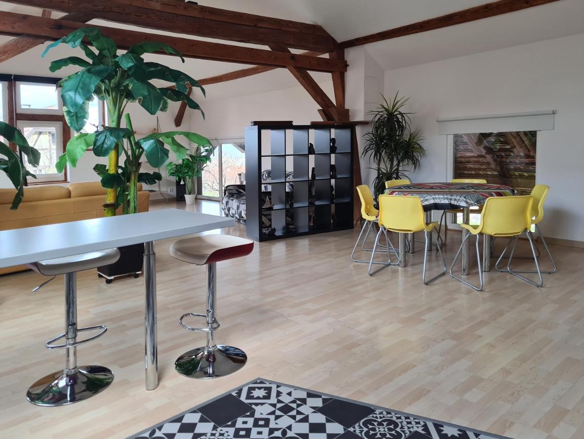 Grange Des Arts Villa Saint-Nabor Luaran gambar