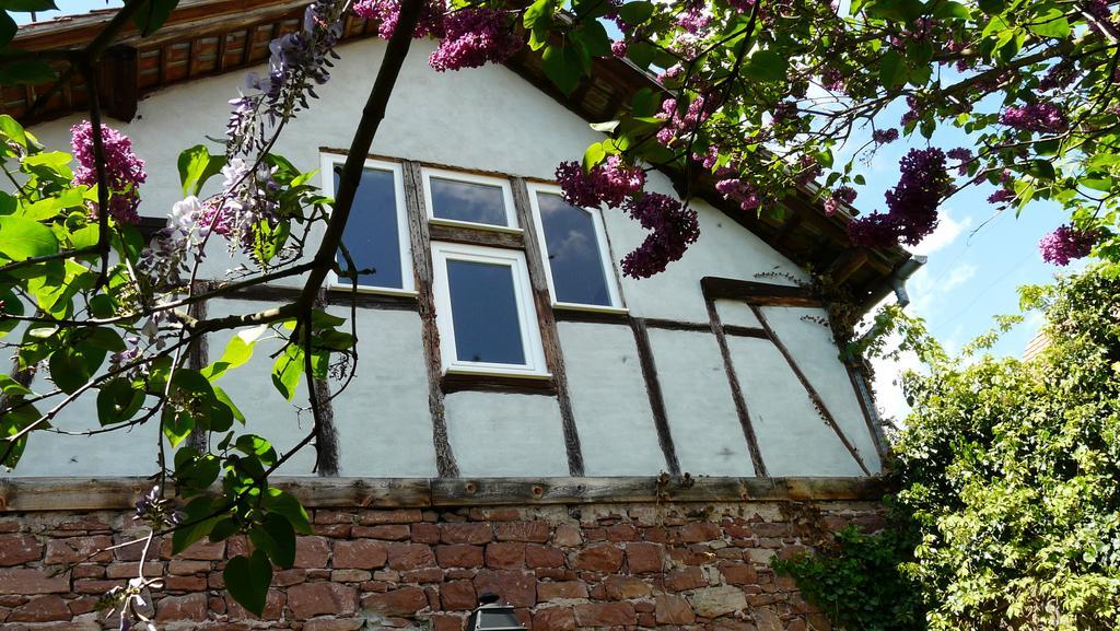 Grange Des Arts Villa Saint-Nabor Luaran gambar